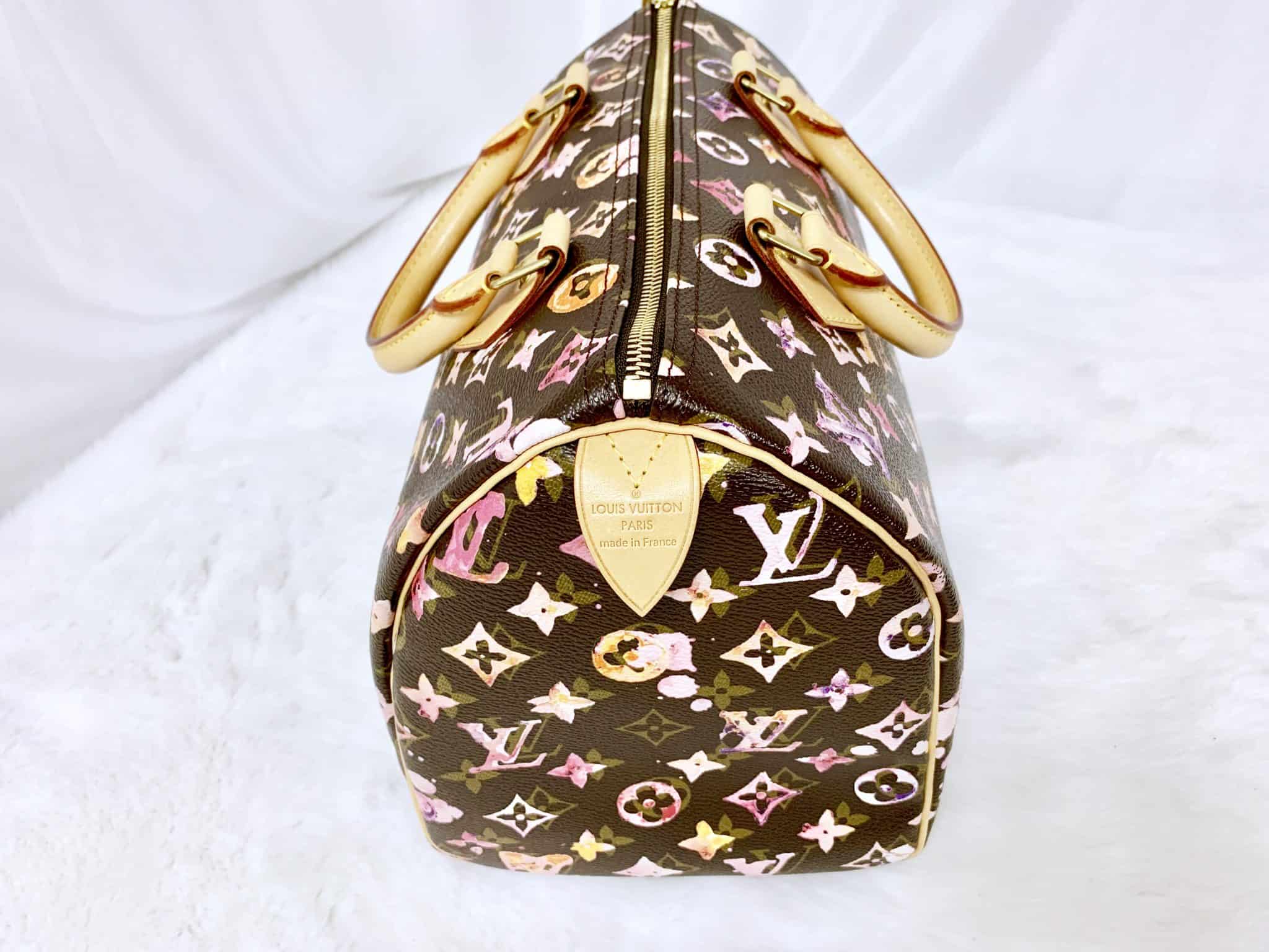 LOUIS VUITTON LIMITED EDITION WATERCOLOR SPEEDY 30 – Shore Chic