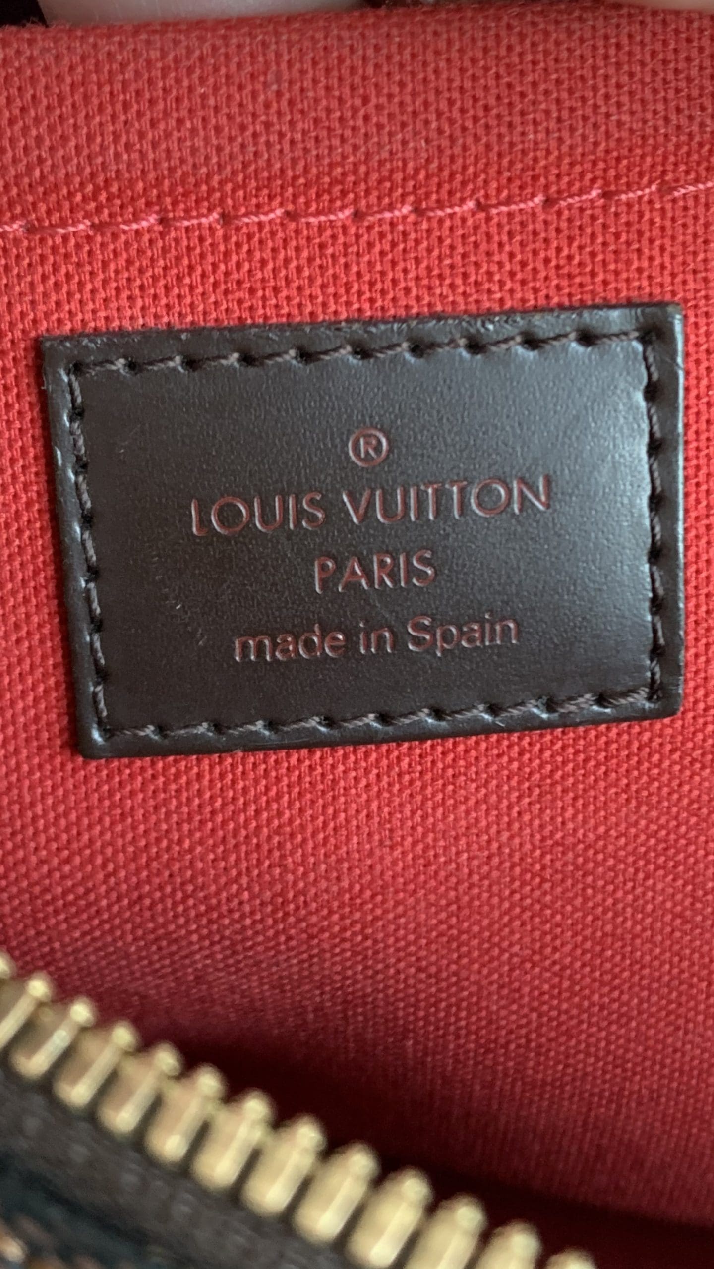 Louis Vuitton Ribera MM DE bag - Reetzy