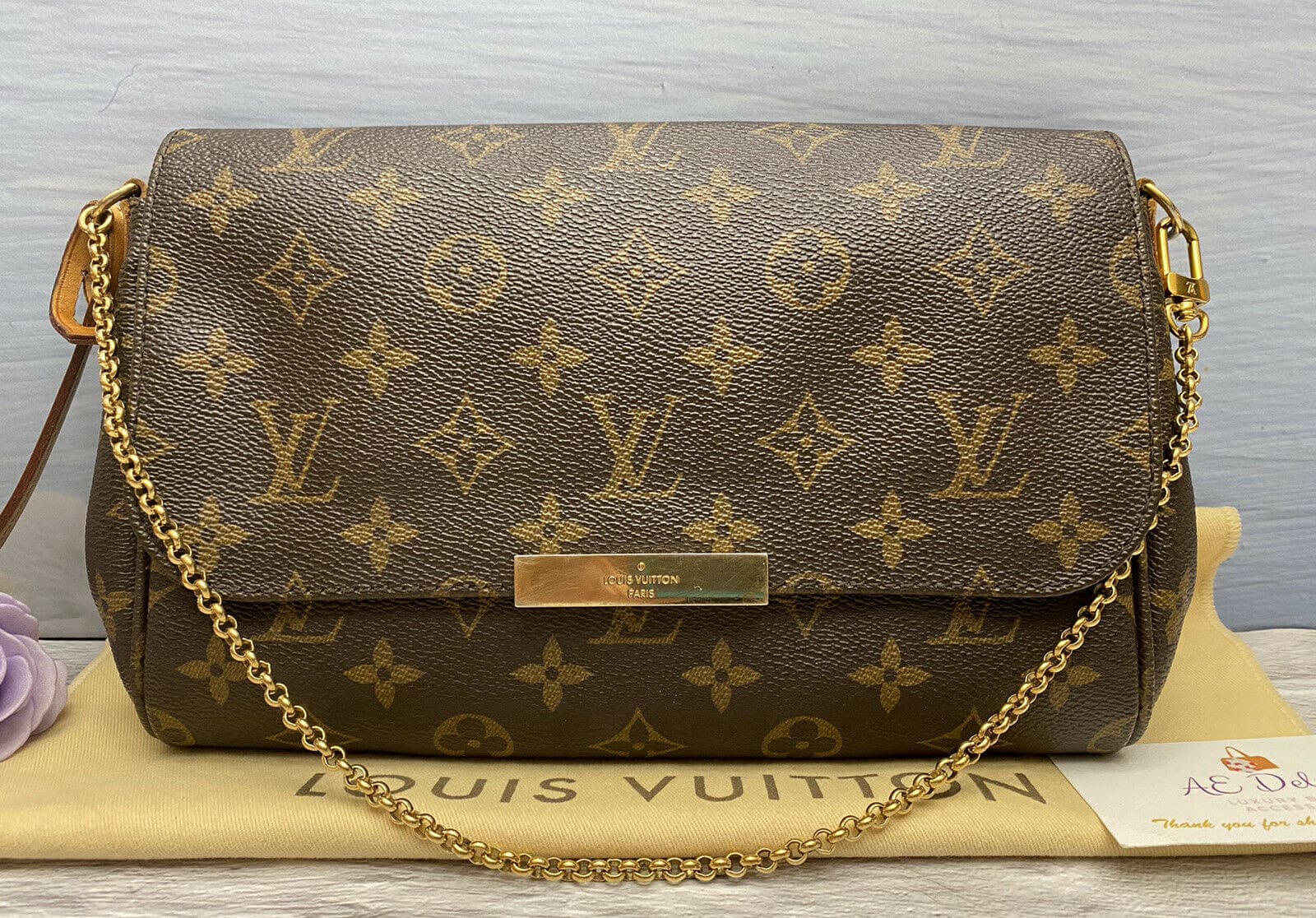 Pre-owned Louis Vuitton Favorite MM Monogram Bag