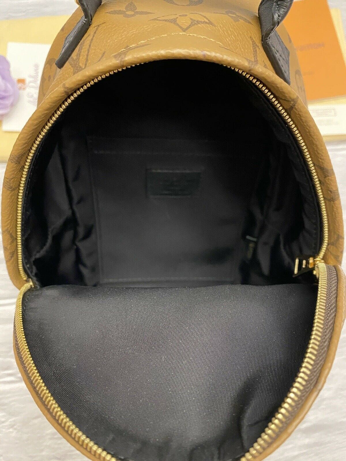 Louis Vuitton Palm Springs Mini Monogram Reverse Backpack (FL1138