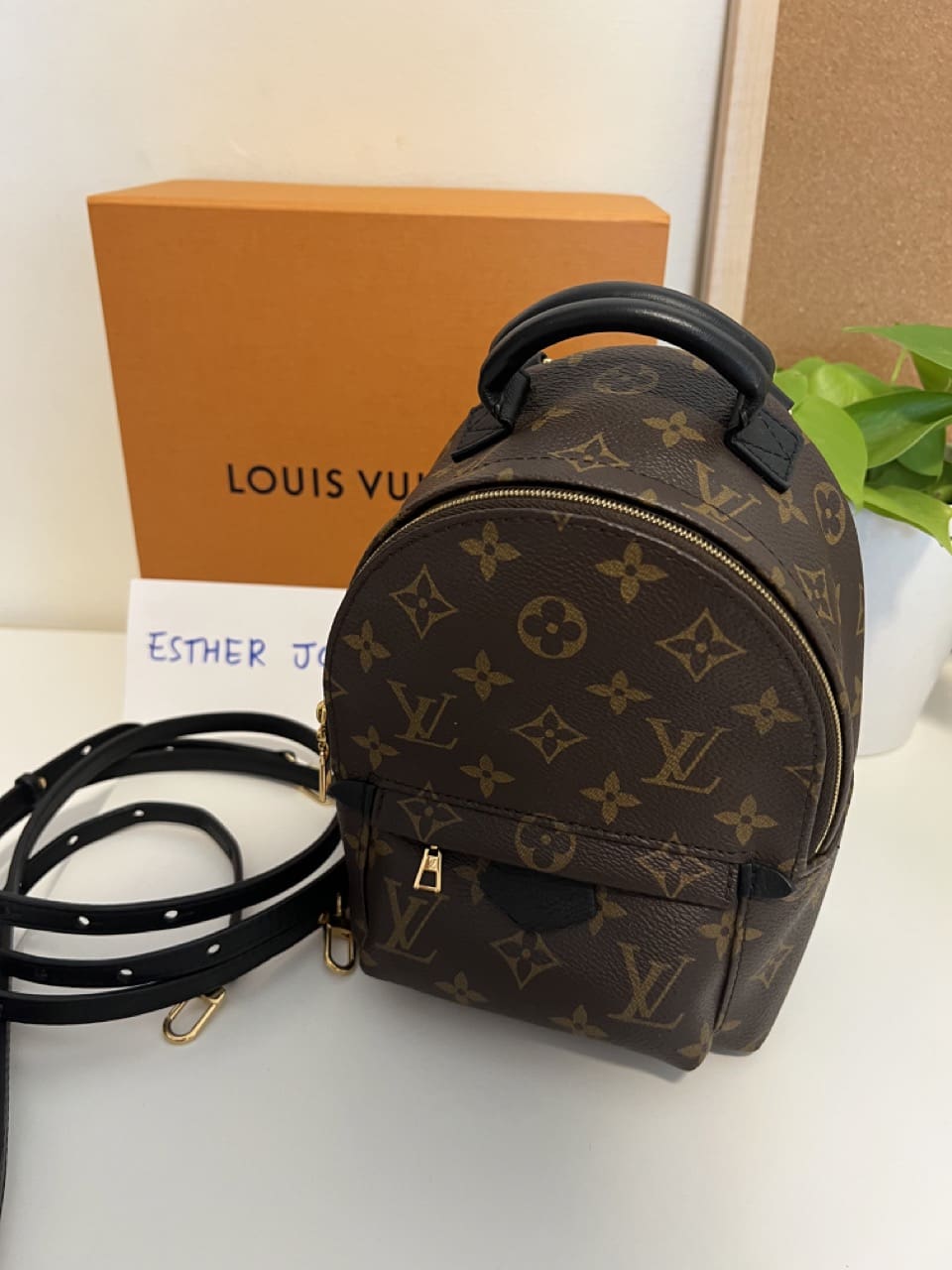 LOUIS VUITTON PALM SPRINGS MINI BACKPACK- HOW TO WEAR IT, DETAILS & REVIEW!  