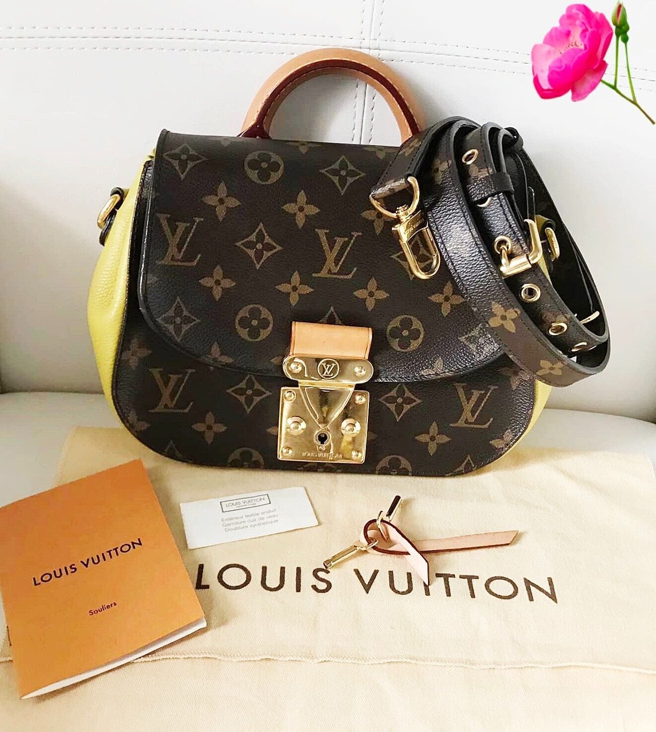 Louis Vuitton Limited Edition Monogram Canvas Eden Neo Bag