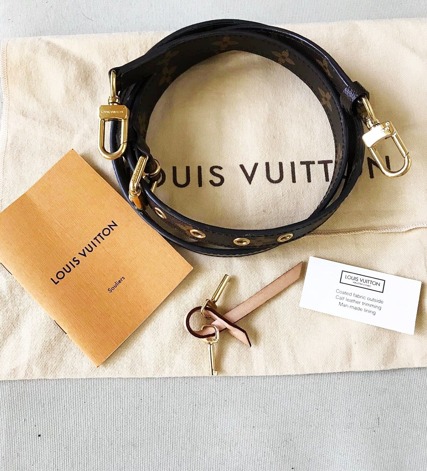 Louis Vuitton Pistache Monogram Canvas Eden PM Bag - ShopStyle