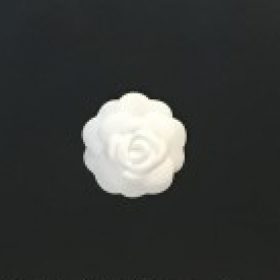 Profile photo of The Camellia Collection